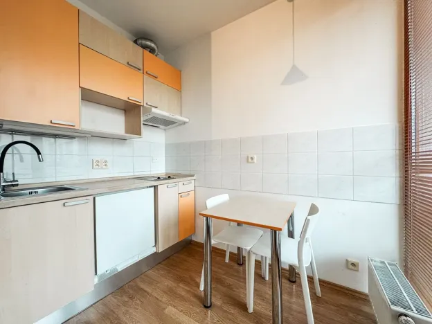 Pronájem bytu 1+kk, Praha - Žižkov, Lukášova, 27 m2
