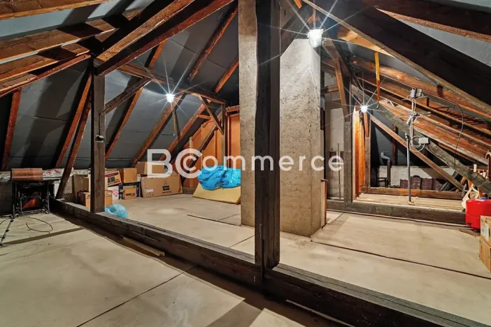 Prodej vily, Dolní Kounice, Zámecká, 270 m2