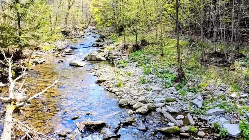Prodej rodinného domu, Krásná, 200 m2