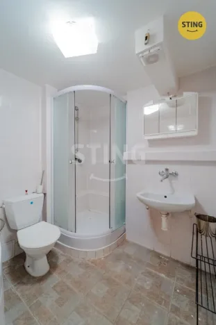 Prodej rodinného domu, Větřkovice, 497 m2