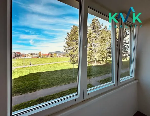 Prodej bytu 2+1, Ostrov, Družební, 66 m2