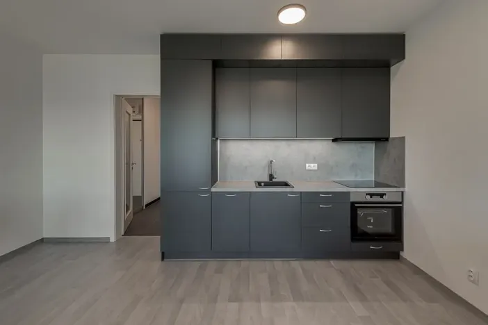 Pronájem bytu 1+kk, Praha - Žižkov, Olgy Havlové, 35 m2