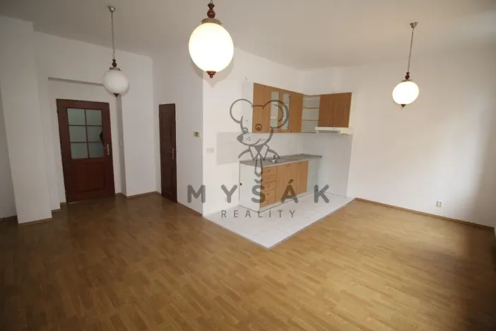 Pronájem bytu 2+kk, České Budějovice, Holečkova, 56 m2