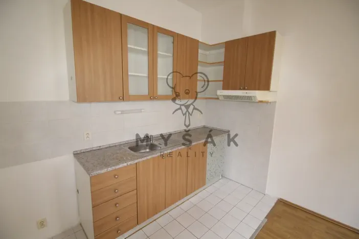 Pronájem bytu 2+kk, České Budějovice, Holečkova, 56 m2