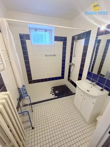 Pronájem vily, Praha - Břevnov, 8. listopadu, 280 m2