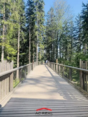 Prodej bytu 2+1, Vrchlabí - Hořejší Vrchlabí, Horská, 54 m2