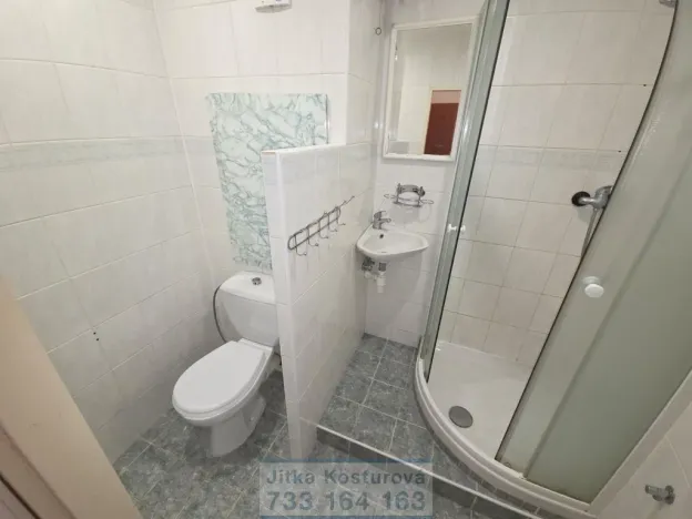 Pronájem bytu 1+1, Krnov - Pod Bezručovým vrchem, Albrechtická, 28 m2