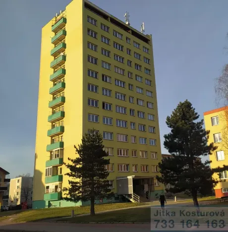 Pronájem bytu 1+1, Krnov - Pod Bezručovým vrchem, Albrechtická, 28 m2