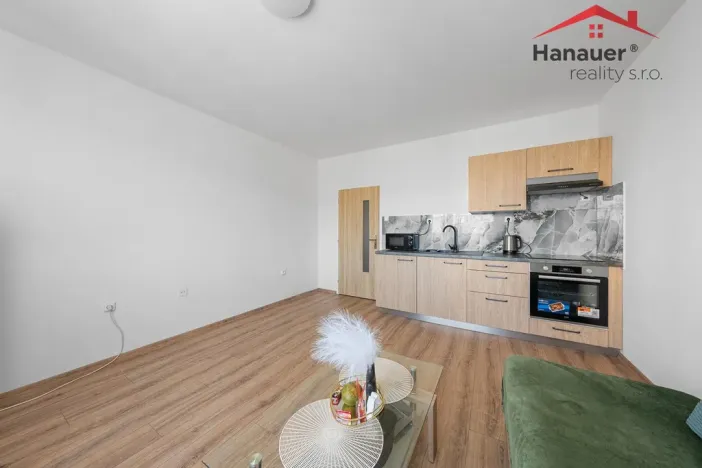 Prodej bytu 2+kk, Děčín - Děčín XXXII-Boletice nad Labem, Čsl. partyzánů, 42 m2