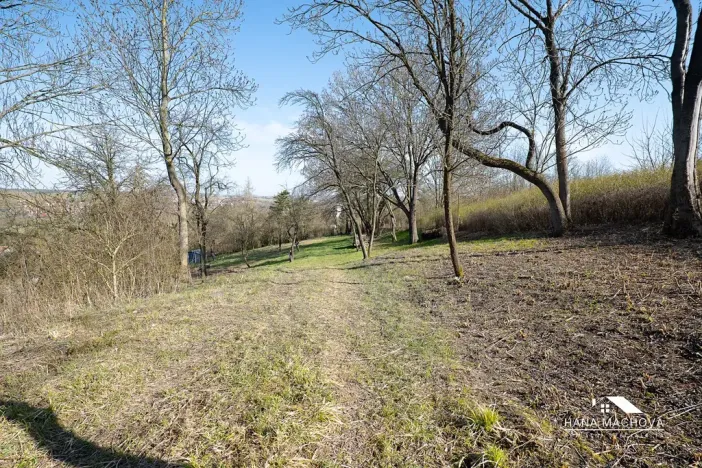 Prodej pozemku pro bydlení, Kopidlno, Na Vinici, 8371 m2
