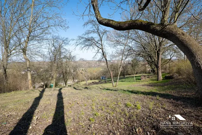 Prodej pozemku pro bydlení, Kopidlno, Na Vinici, 8371 m2