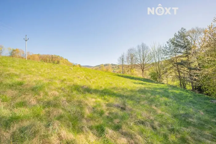 Prodej pozemku pro bydlení, Velké Losiny, 1856 m2