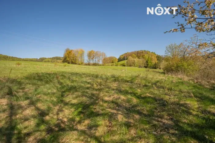 Prodej pozemku pro bydlení, Velké Losiny, 1856 m2
