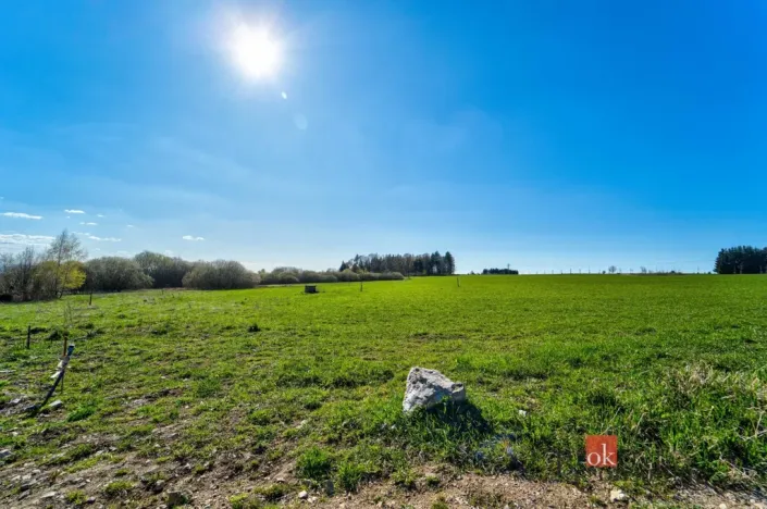 Prodej pozemku pro bydlení, Zádub-Závišín - Zádub, 1572 m2