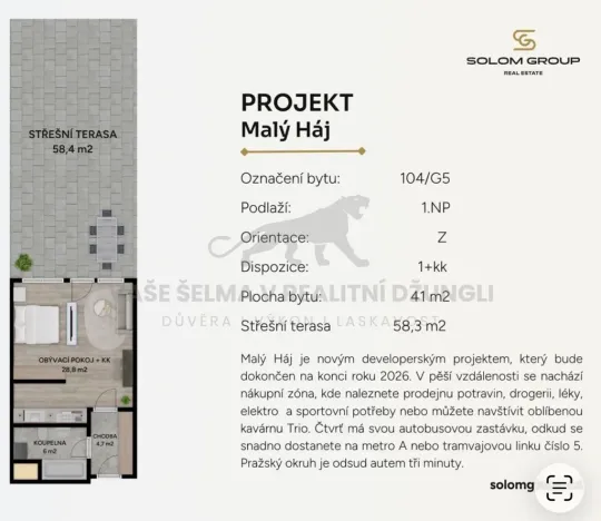 Prodej bytu 1+kk, Praha - Dolní Měcholupy, Honzíkova, 41 m2