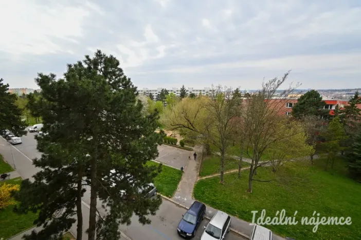 Pronájem bytu 1+1, Brno, Fillova, 37 m2