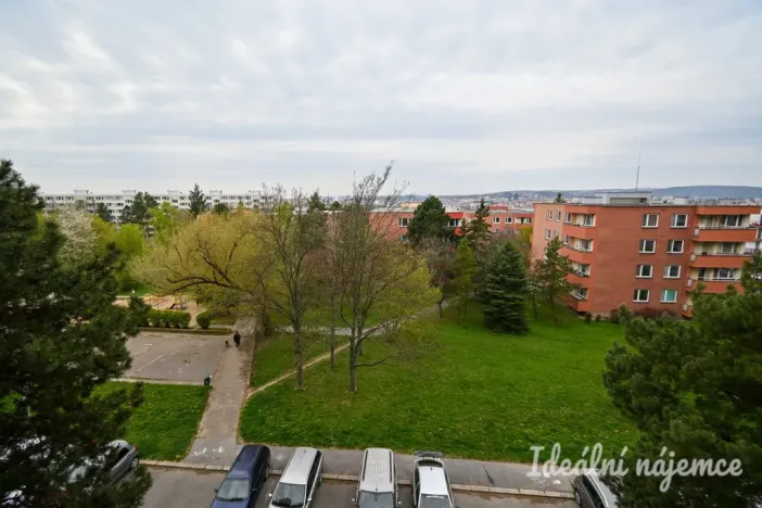 Pronájem bytu 1+1, Brno, Fillova, 37 m2