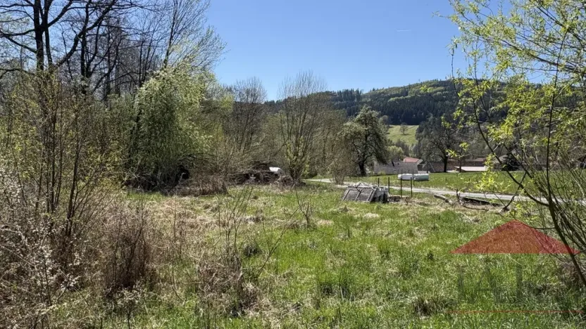 Prodej louky, Sušice, 1971 m2