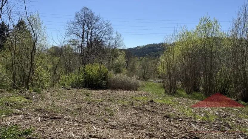 Prodej louky, Sušice, 1971 m2