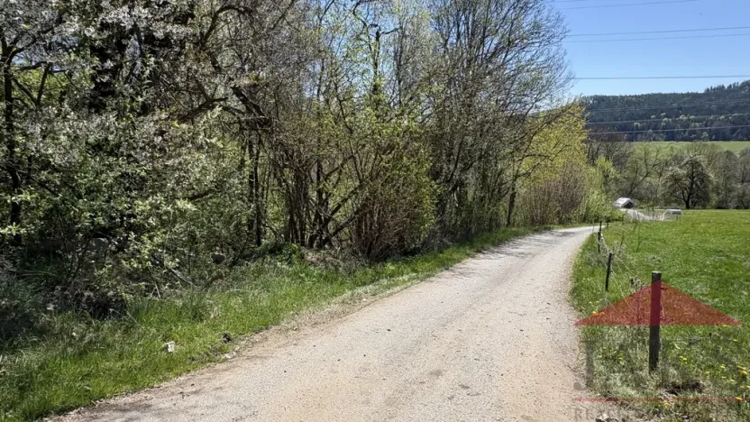 Prodej louky, Sušice, 1971 m2