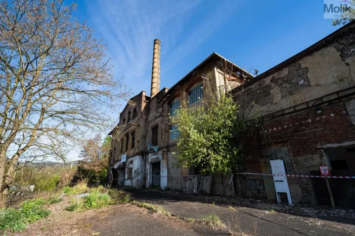 Prodej obchodního prostoru, Povrly - Neštědice, Pod Kozákem, 35000 m2