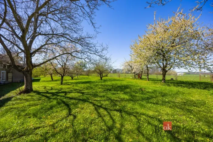 Prodej rodinného domu, Trnov, 412 m2