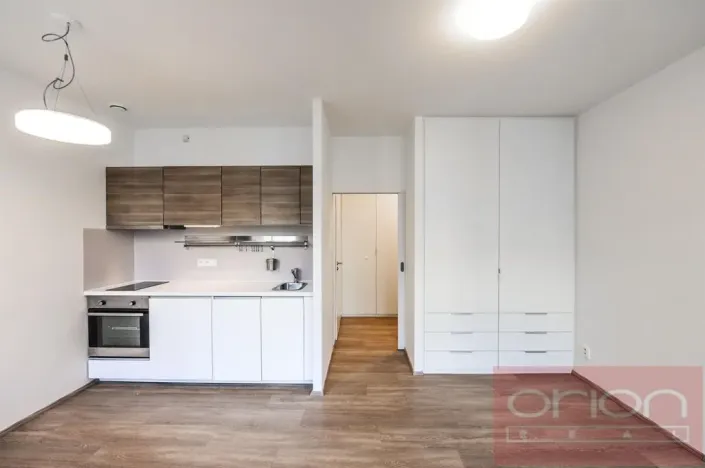 Pronájem bytu 1+kk, Praha - Vinohrady, Lucemburská, 30 m2