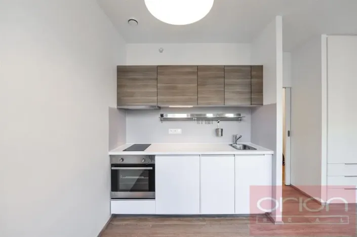 Pronájem bytu 1+kk, Praha - Vinohrady, Lucemburská, 30 m2