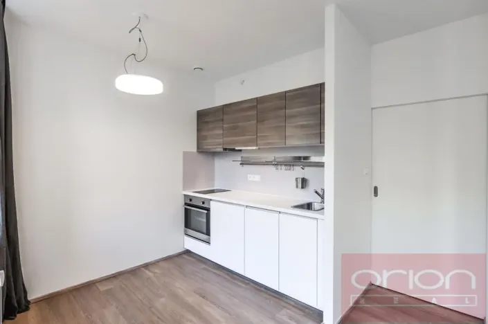Pronájem bytu 1+kk, Praha - Vinohrady, Lucemburská, 30 m2