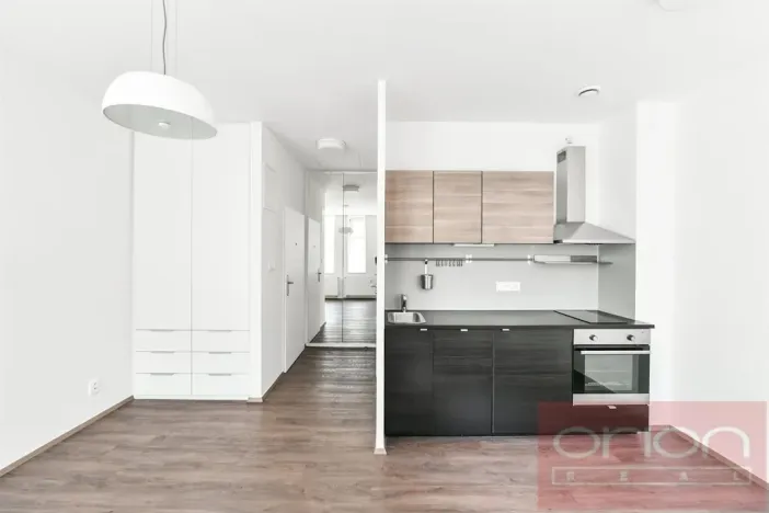 Pronájem bytu 1+kk, Praha - Vinohrady, Lucemburská, 30 m2