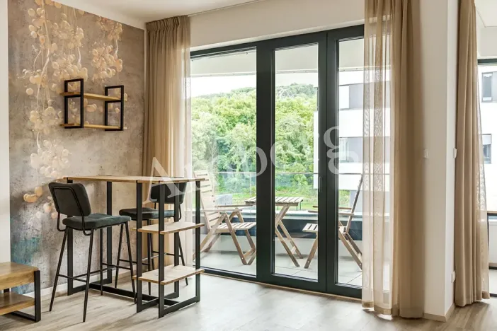Pronájem bytu 1+kk, Praha - Karlín, U Sluncové, 33 m2