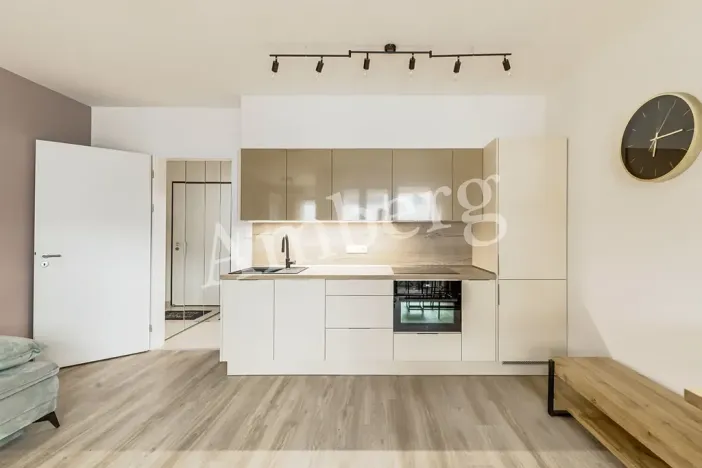 Pronájem bytu 1+kk, Praha - Karlín, U Sluncové, 33 m2