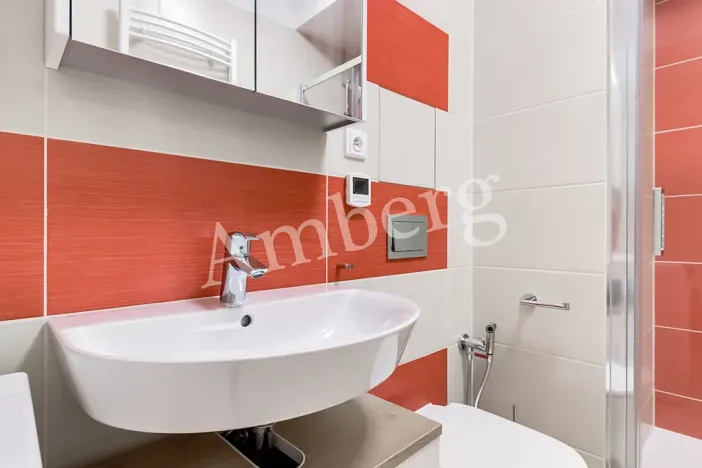 Pronájem bytu 1+kk, Praha - Karlín, U Sluncové, 33 m2