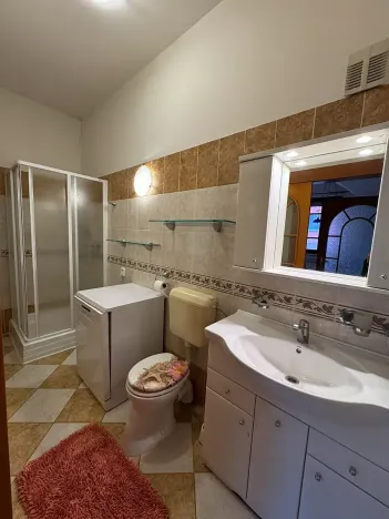 Pronájem rodinného domu, Brno, Sladkovského, 180 m2