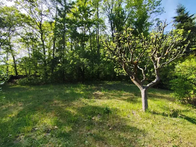 Prodej chaty, Heřmanův Městec, 70 m2