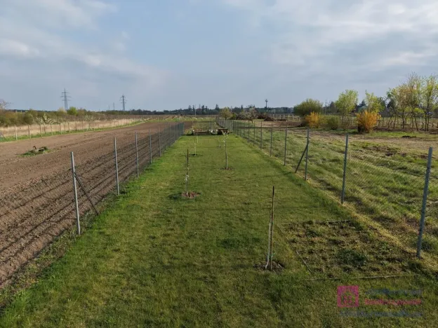 Prodej zahrady, Valtice, Zámek, 619 m2