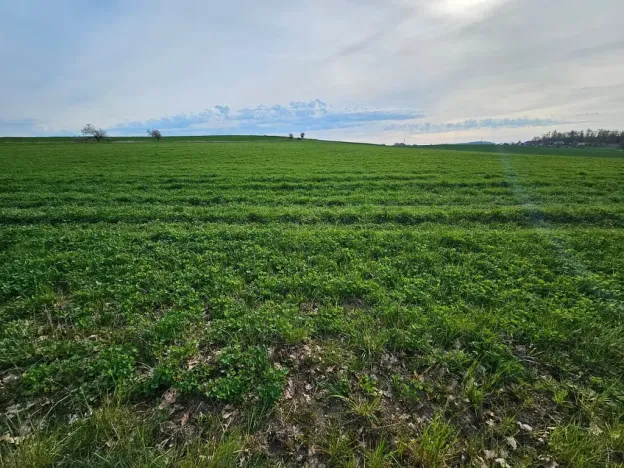 Prodej pole, Bystřice - Jírovice, 42871 m2