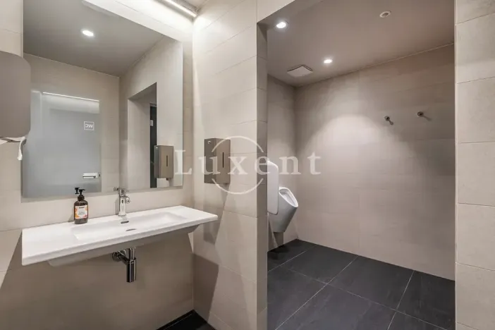 Pronájem bytu 2+kk, Praha, Holečkova, 74 m2