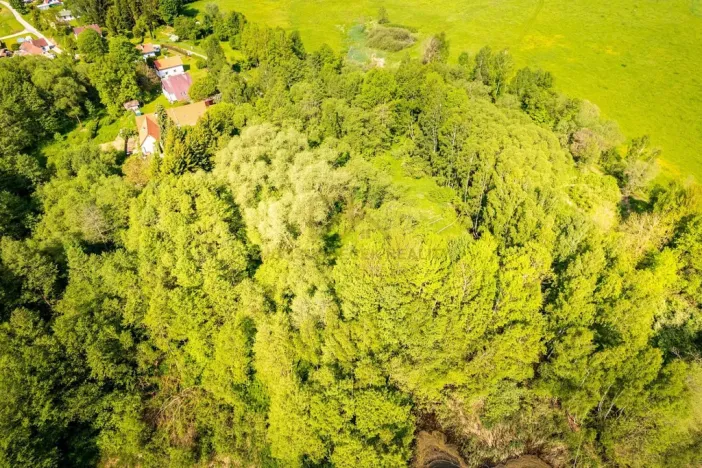 Prodej pozemku, Benešov nad Černou - Hartunkov, 5446 m2