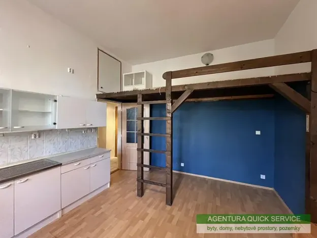 Pronájem bytu 1+kk, Praha - Žižkov, Kubelíkova, 29 m2