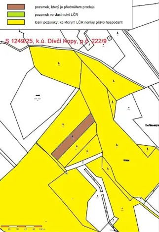 Prodej lesa, Dívčí Kopy, 3000 m2