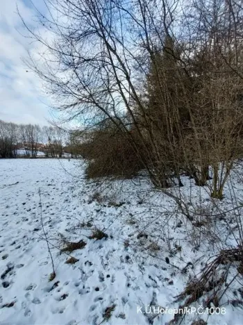 Prodej lesa, Hořepník, 10345 m2