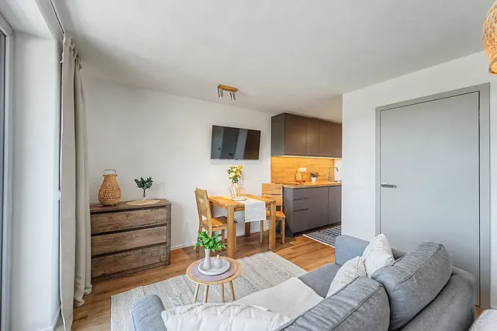Prodej bytu 1+kk, Janov nad Nisou, 27 m2