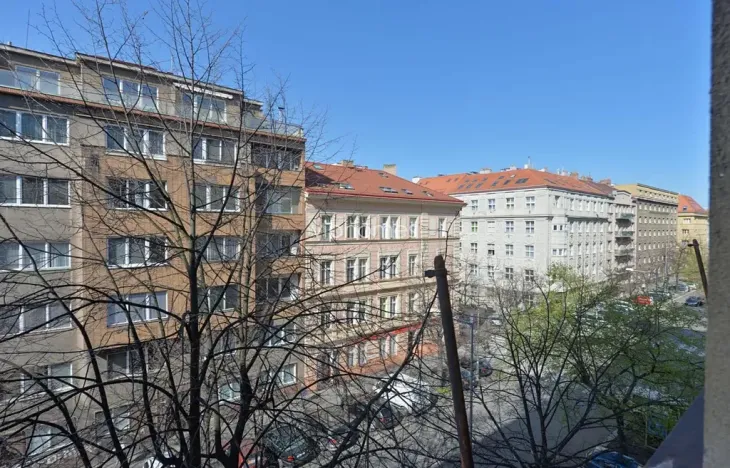 Pronájem bytu 1+kk, Praha - Vinohrady, Lucemburská, 30 m2
