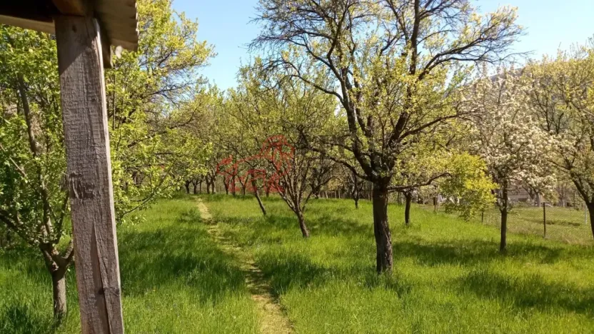 Prodej rodinného domu, Březová, 266 m2