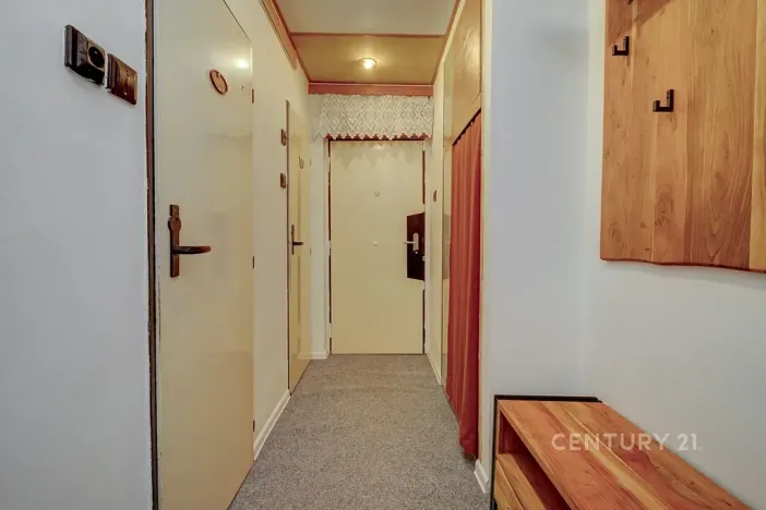 Pronájem bytu 2+1, Praha - Žižkov, Pod lipami, 52 m2