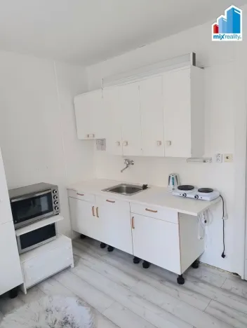 Pronájem bytu 1+kk, Plzeň - Skvrňany, Vejprnická, 20 m2