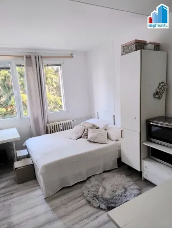 Pronájem bytu 1+kk, Plzeň - Skvrňany, Vejprnická, 20 m2