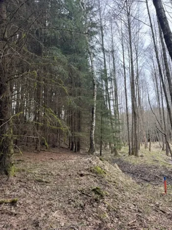 Prodej lesa, Mrákov, 34704 m2
