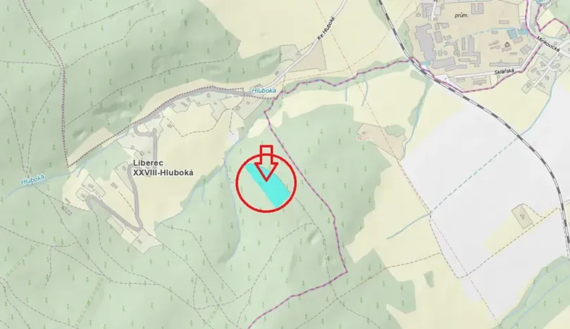 Prodej lesa, Liberec, 14111 m2